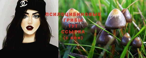 твердый Алексин