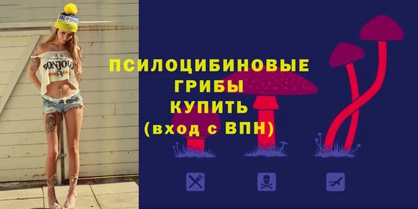 твердый Алексин