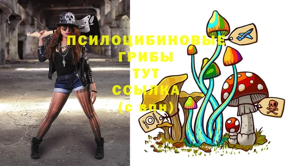 амф Алексеевка